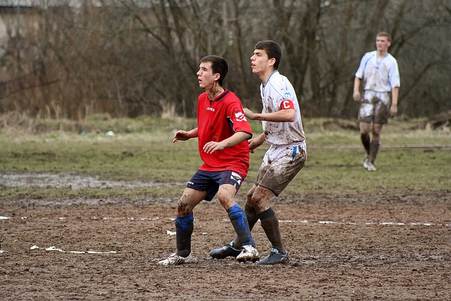 后场与中前 后场与中前