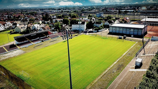 史数据与比 史数据与比