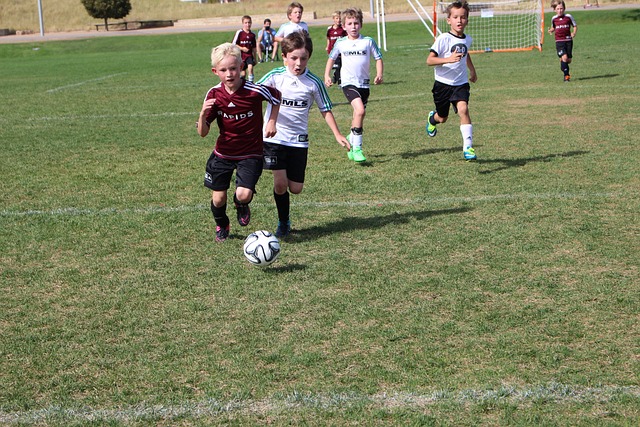 的理想范本 的理想范本