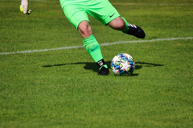 丝和专家对 丝和专家对