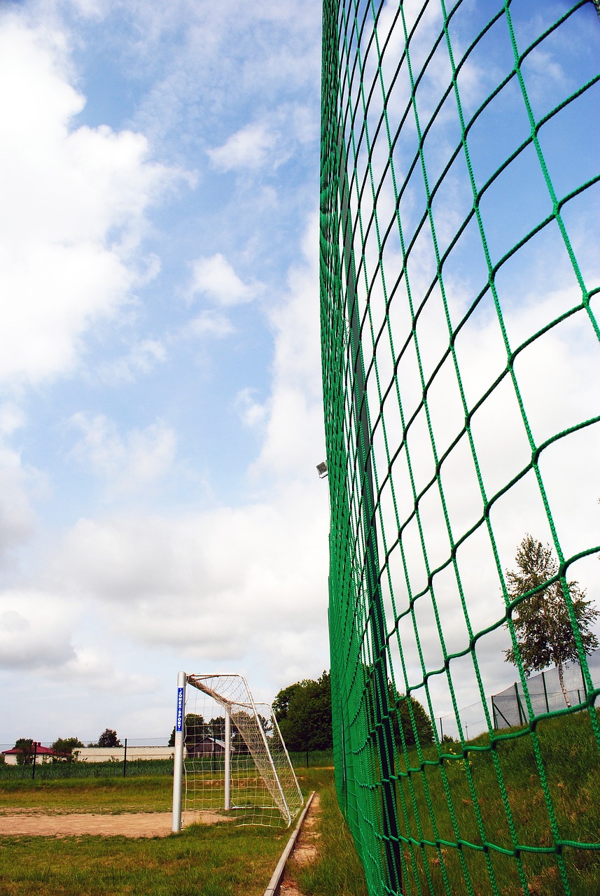 尽管当前的 尽管当前的