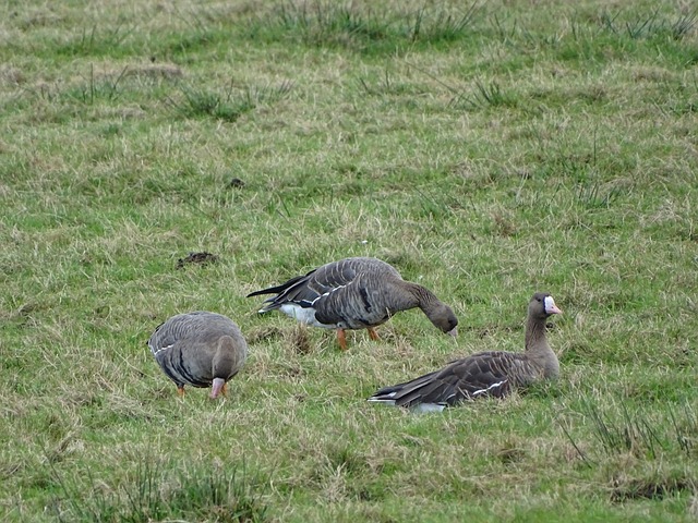 心理支持 心理支持